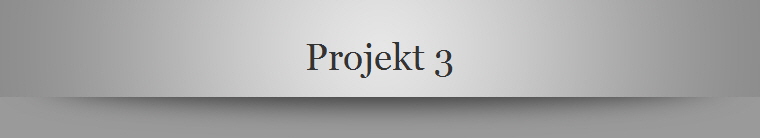 Projekt 3